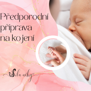 Předporodní příprava na kojení 21. 5. 2024